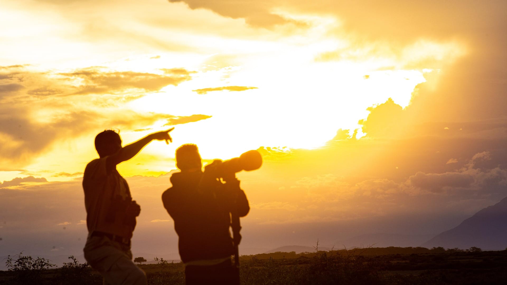 birdwatching safari adventure in Tanzania