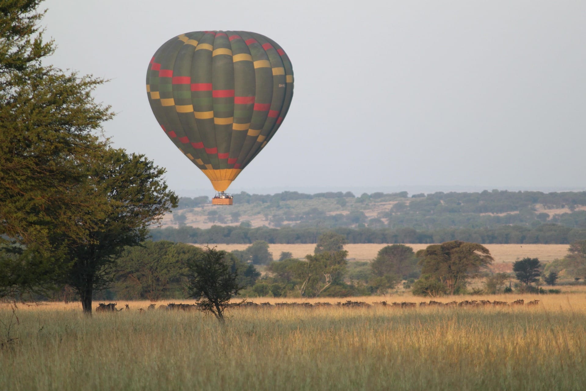 Safari prices and packages