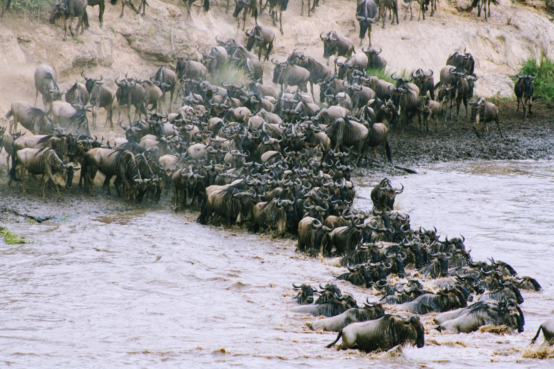 Safari prices and packages