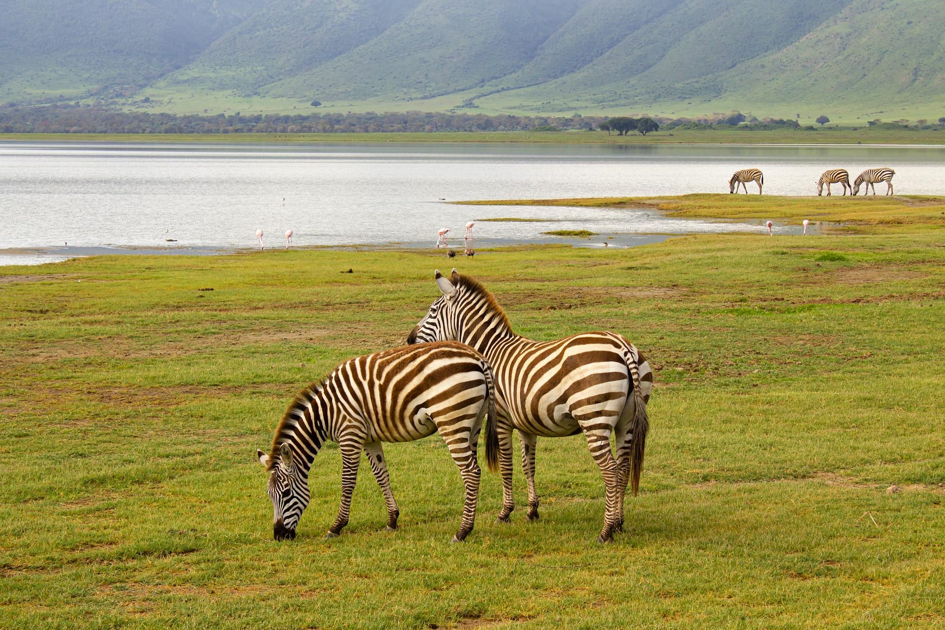Safari prices and packages