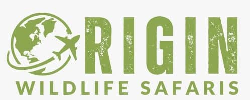 Origin Wildlife Safaris